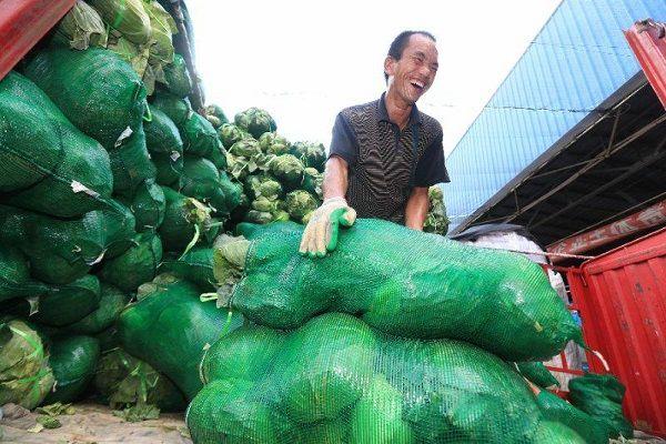 从8月20日至28日,全市七大农产品批发市场的蔬菜批发均价为4